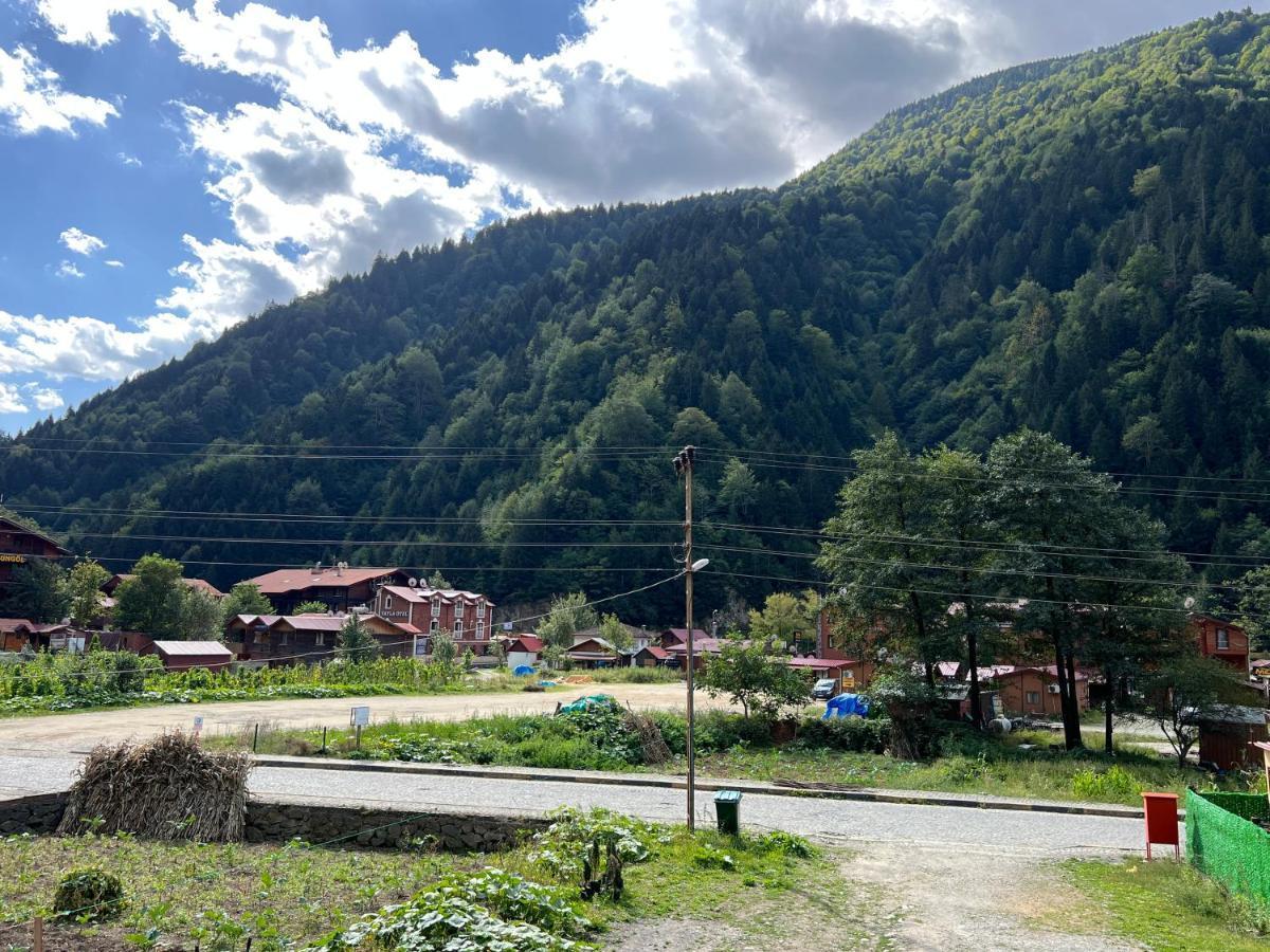 Karadeniz Apart Otel Uzungöl Eksteriør bilde